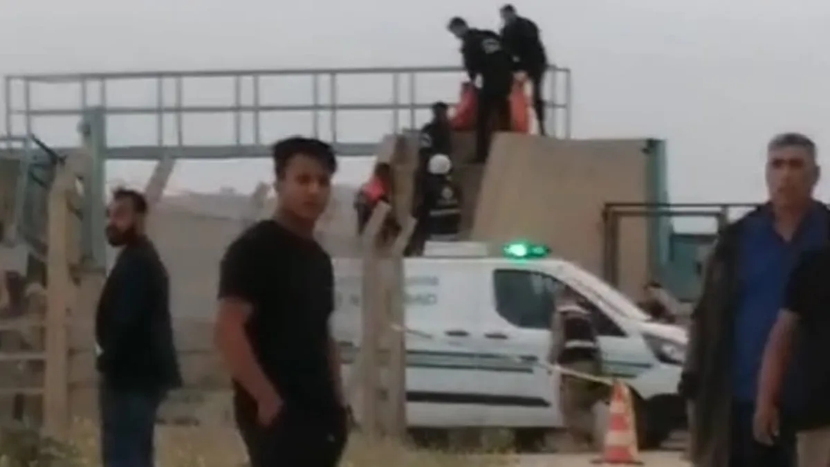 Şanlıurfa Tepedibi Mahallesi