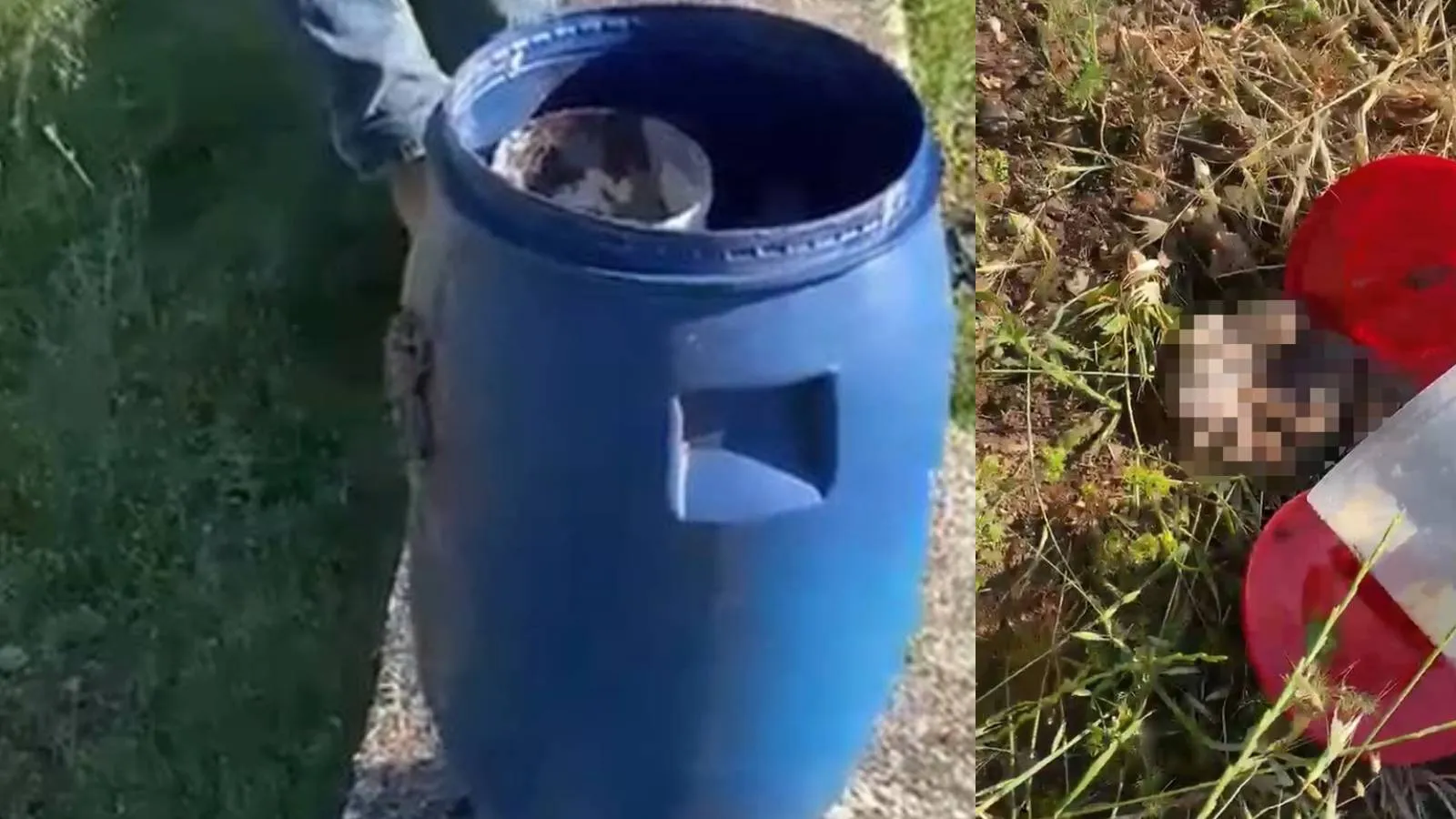 Şanlıurfa Mezarlığında Şok: 21 Cenin Bulundu!