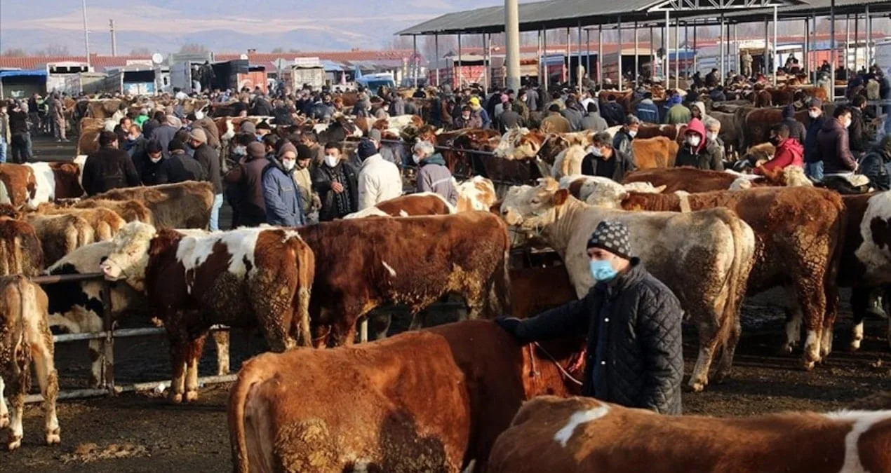 Şap Hastalığı Nedeniyle Hayvan Pazarları Kapandı!