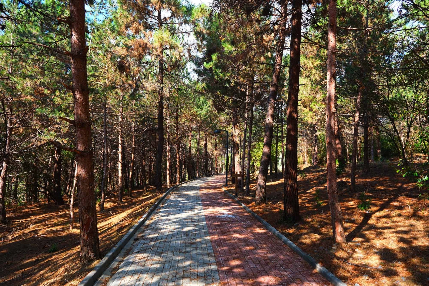 Sapanca Gölü’nde Yeni Huzur Koridoru Açıldı!