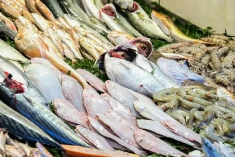 Sardalya: Sağlığın 1 Numarası ve Uygun Fiyatlı