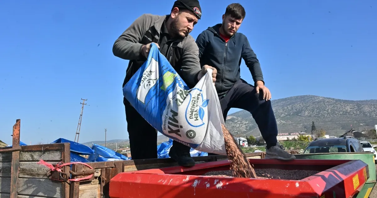 Sarıçalı’nın Merası Manisa’nın Tohumlarıyla Canlanıyor