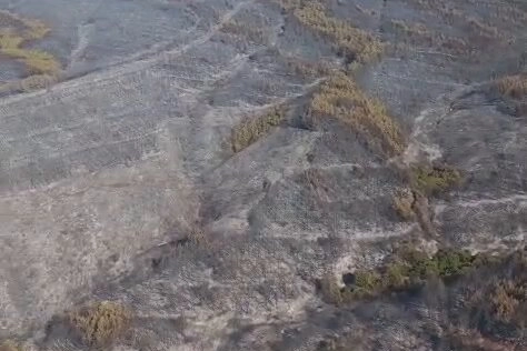 Şarköy’deki Yangın Kontrol Altına Alındı!