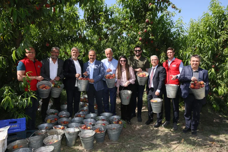 Şeftali İhracatında Rekor Artış: 250 Milyon Dolar!