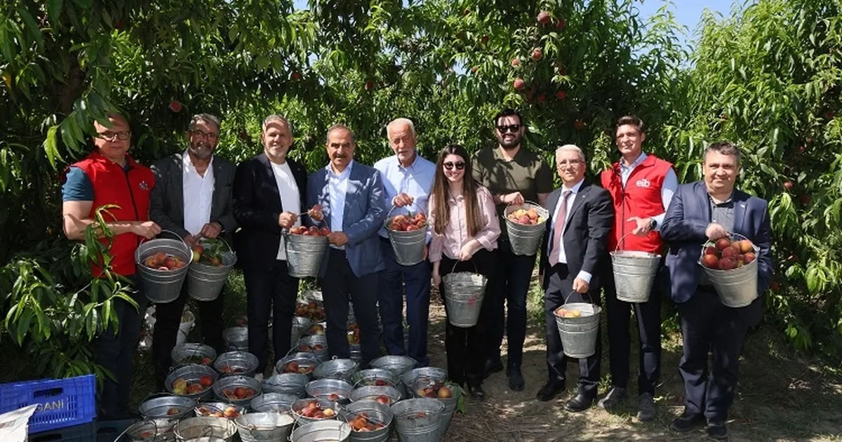 Şeftali ve Nektar İhracatında 250 Milyon Dolar Hedefi