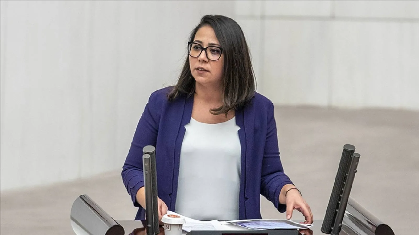 Sera Kadıgil’e Mitingdeki Konuşması Nedeniyle Soruşturma