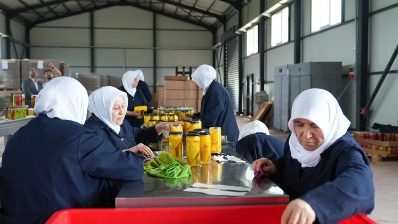 GÜRSU OVASI’NA KADIN ELİ DEĞDİ GÜRSU OVASI’NA KADIN ELİ DEĞDİ