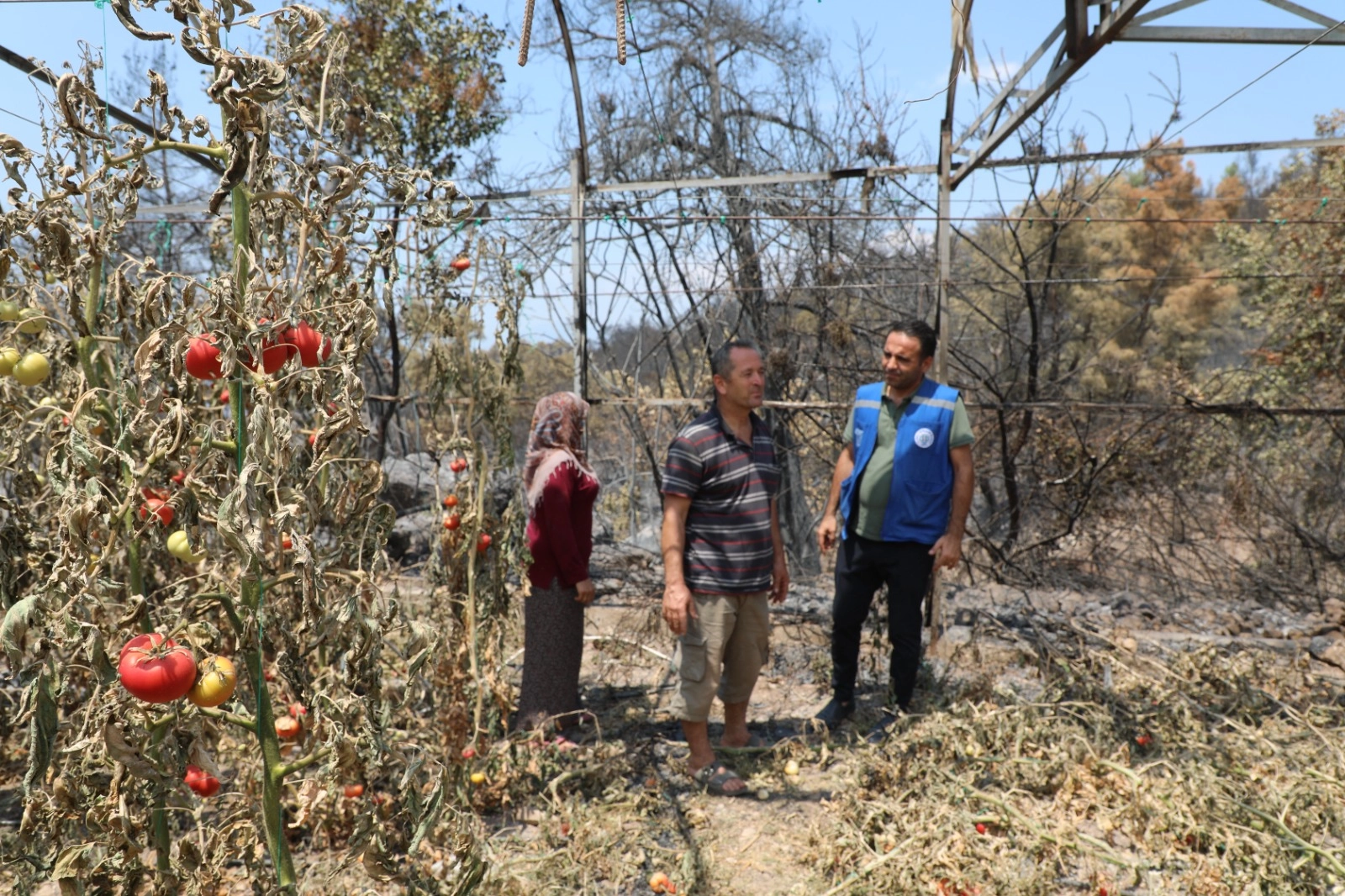 Seydikemer’de Yangın Sonrası Seferberlik Başladı