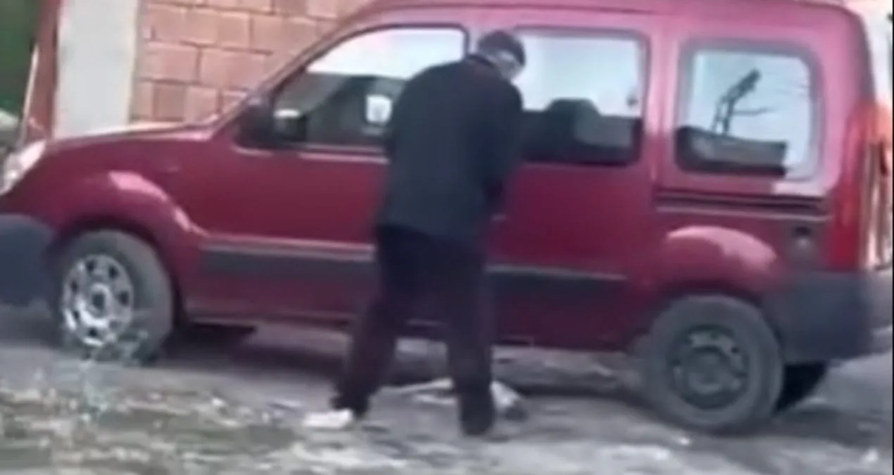 Şiddet Gören Köpeğe 71 Bin TL Ceza!