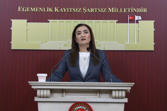Silahsızlanma Süreci: Hukuk ve Barış Vurgusu