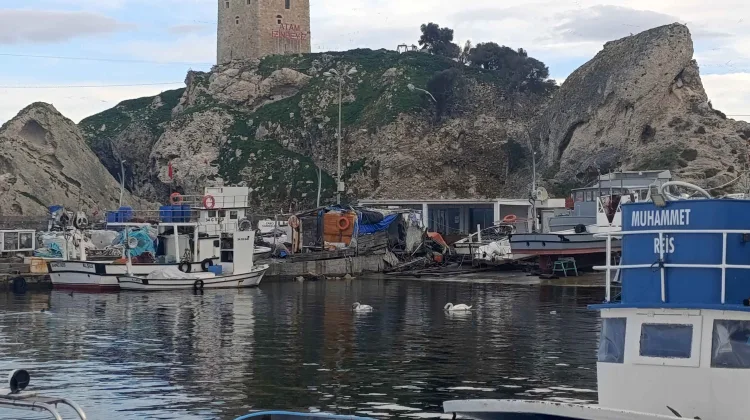 Şile Limanı’nda İki Kuğu ile Huzur Dolu Anlar