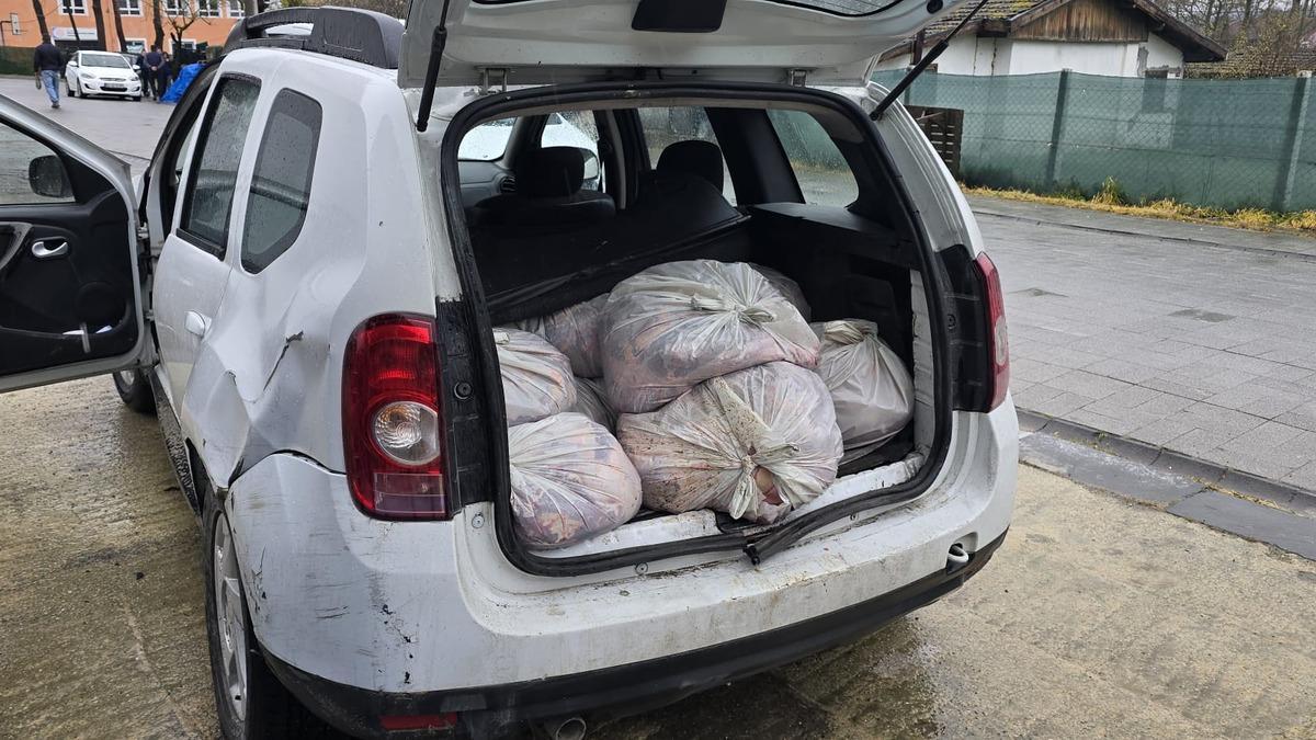 Silivri’de 306 kg At Eti Ele Geçirildi!