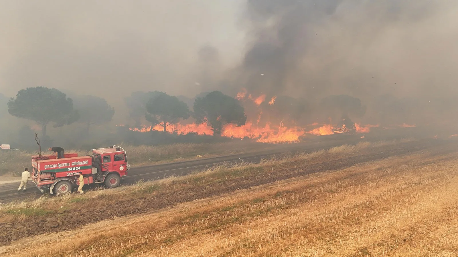 Silivri’de Orman Yangını: 2 Kişi Tutuklandı!