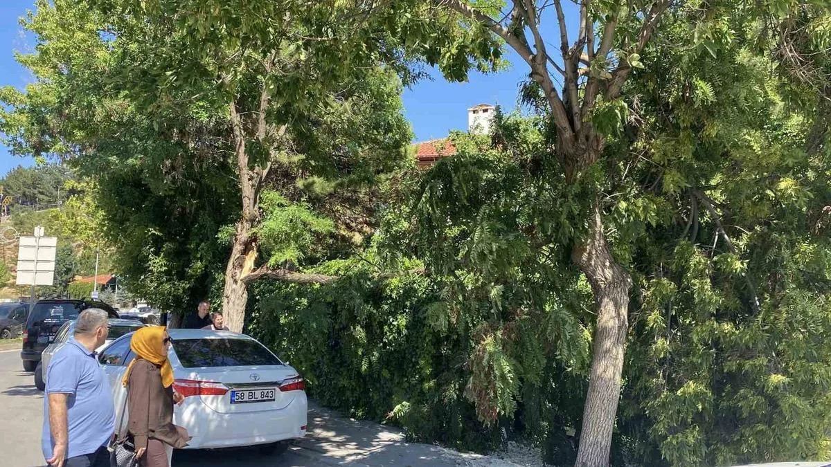 Sivas’ta Rüzgar Ağaç Devrildi, Küçük Hasar Oluştu
