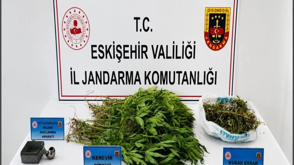 Sivrihisar’da Uyuşturucu Operasyonu: 185 Kök Kenevir!