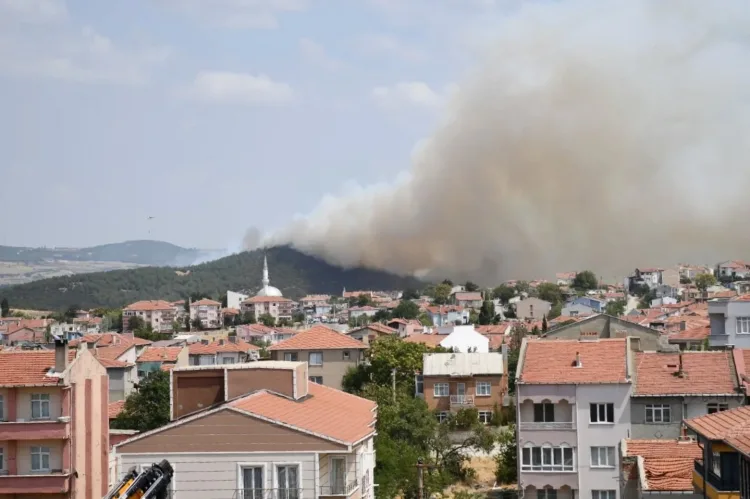 Sivritepe Yangınından Sonra Yeşil Nefes Çağrısı