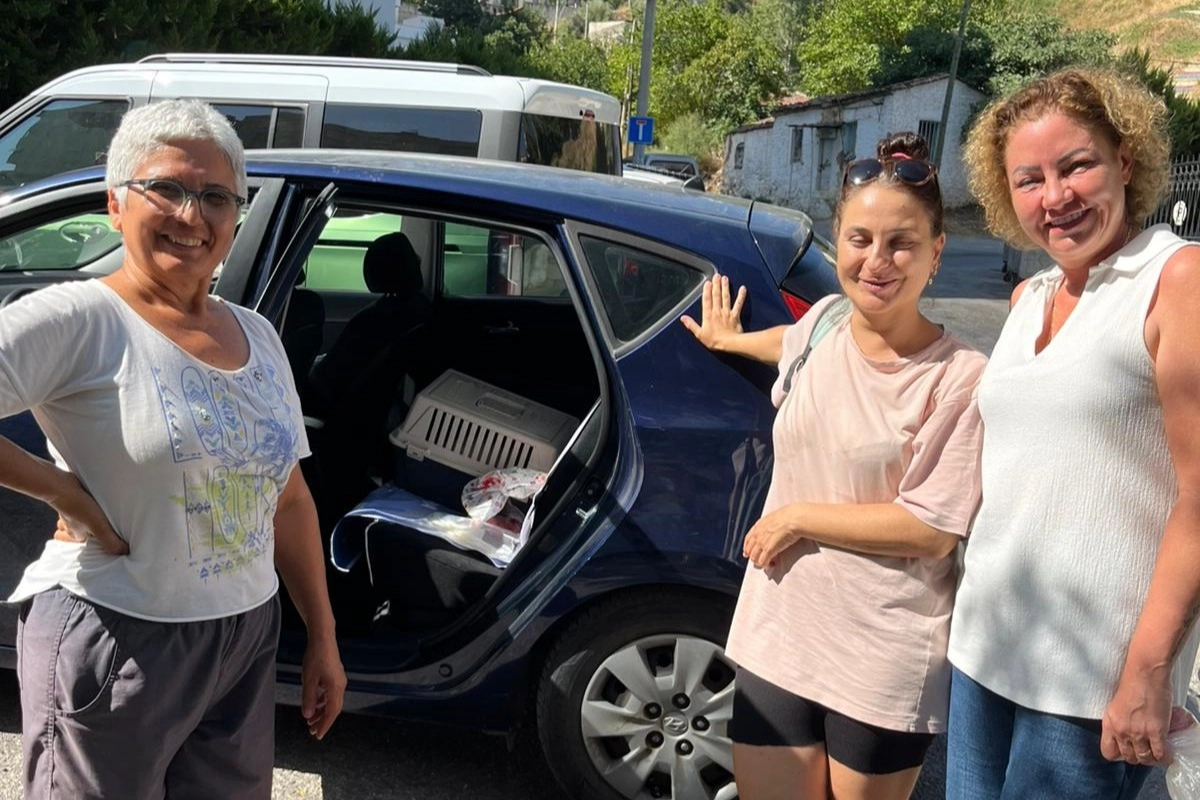 Sokak Kedilerine Narlıdere’de Kısırlaştırma Seferberliği