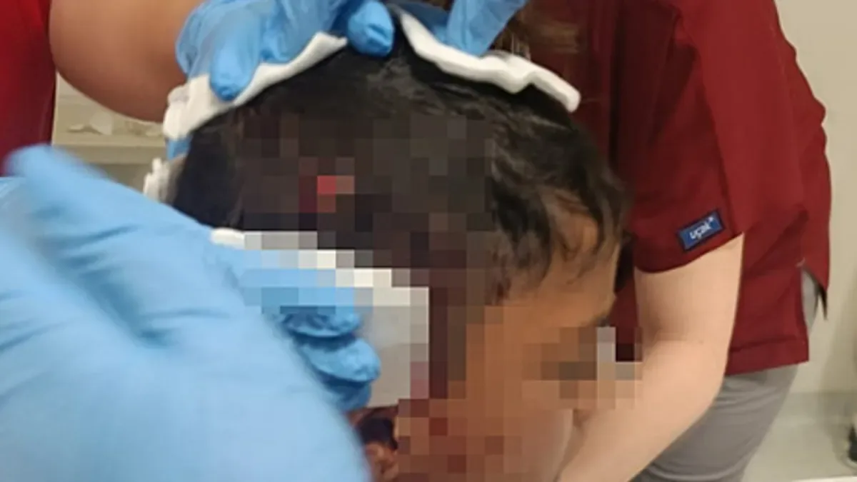 Sokak Köpeği Saldırısı: 8 Yaşındaki Çocuk Yaralandı