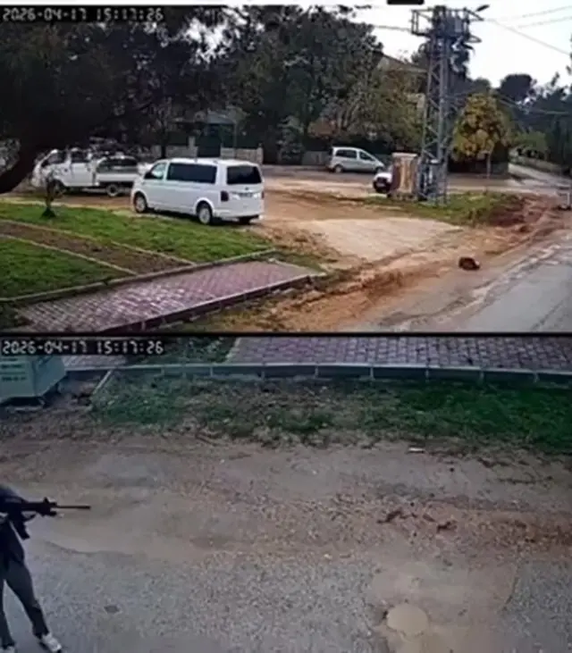Kavga eden sokak köpeklerine ateş etti! Bir köpek öldü 6