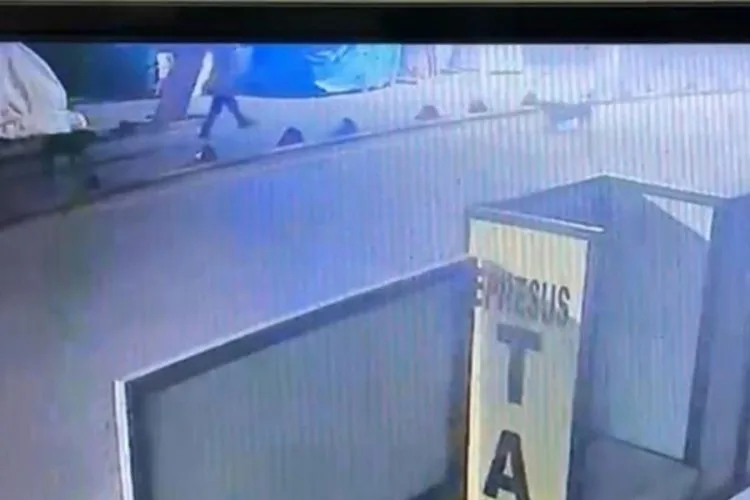 Sokak Köpeğini Vuran Emekli Astsubay Serbest!