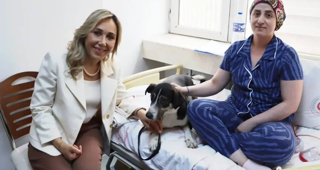 Sokak Köpekleri Hastaneye Girdi: Tepkiler Çığ Gibi