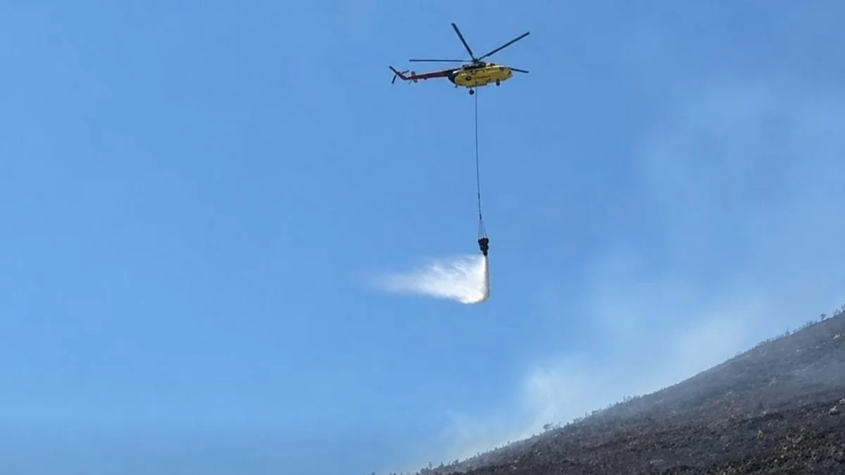 Söke’de Kuru Ot Yangını, Ekipler Hızla Müdahale Etti!