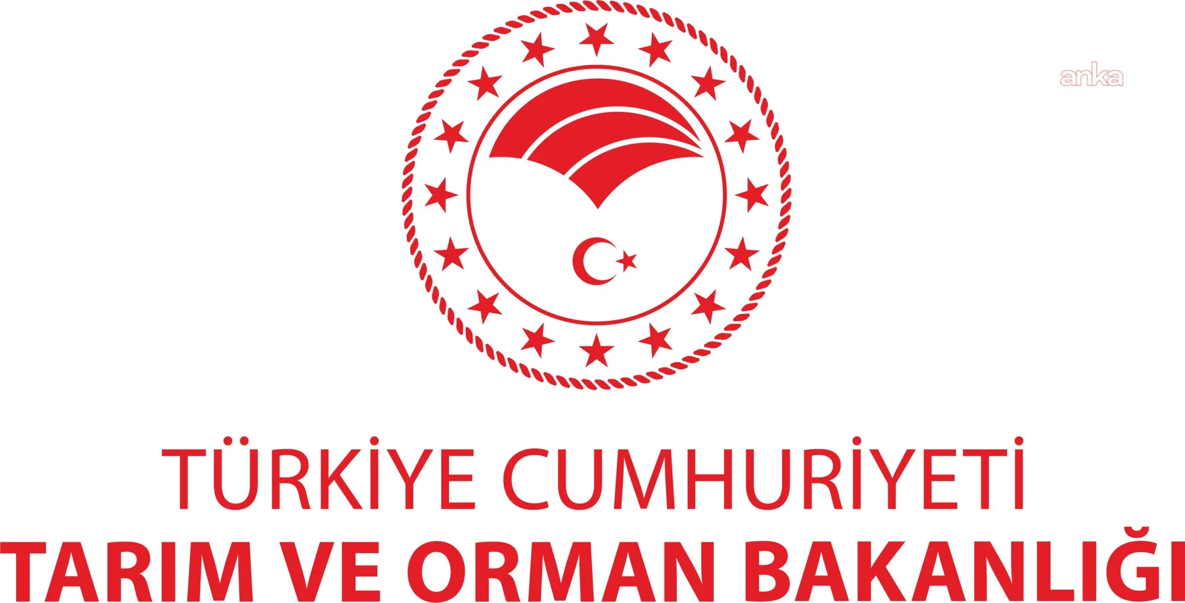Sosyal Medyada Hayvan Refahına İhlal, Cezalar Başladı