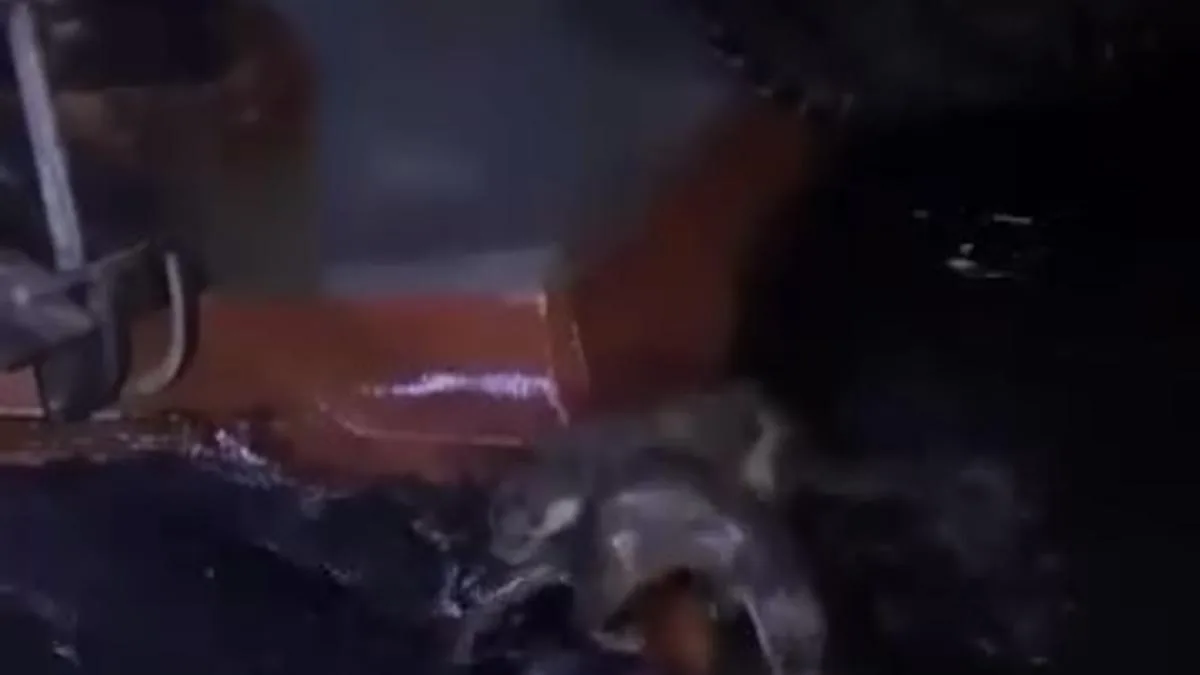 Su Samurları Gemlik’te Balık Ziyafeti Çekti!