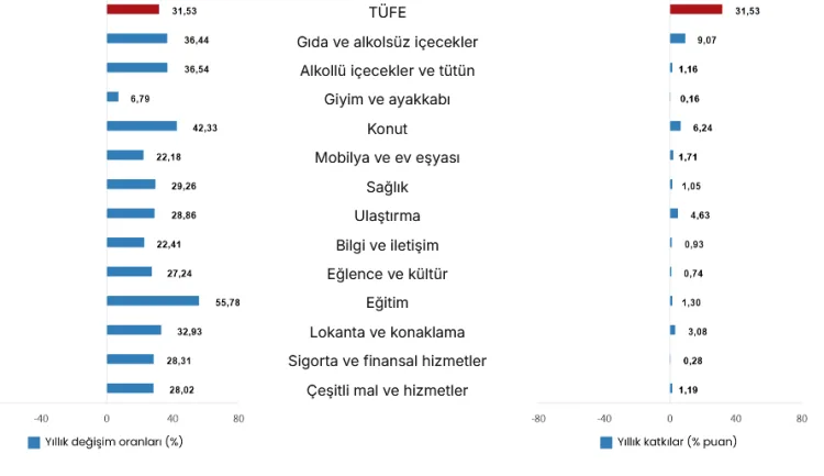 Şubat’ta Enflasyon Yüzde 31,53 ile Zirvede!