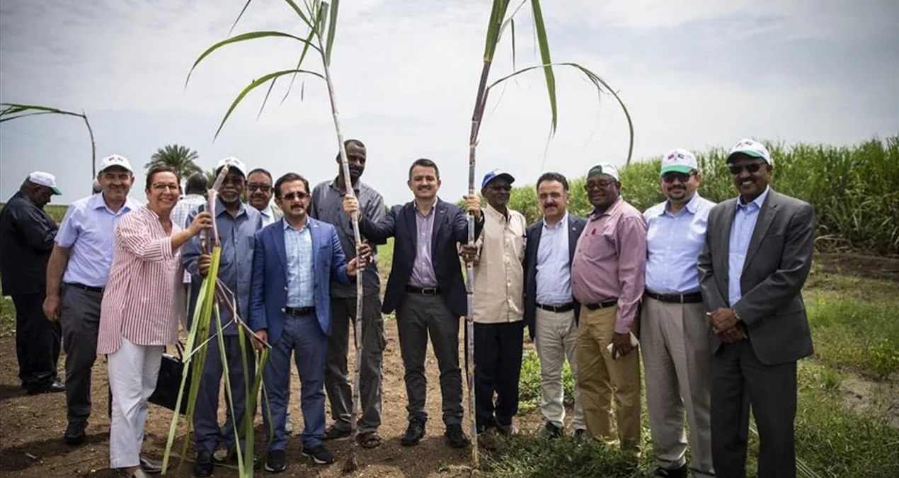 Sudan Tarım Projesi Fiyaskosu: 276 Milyon Lira Hibe!