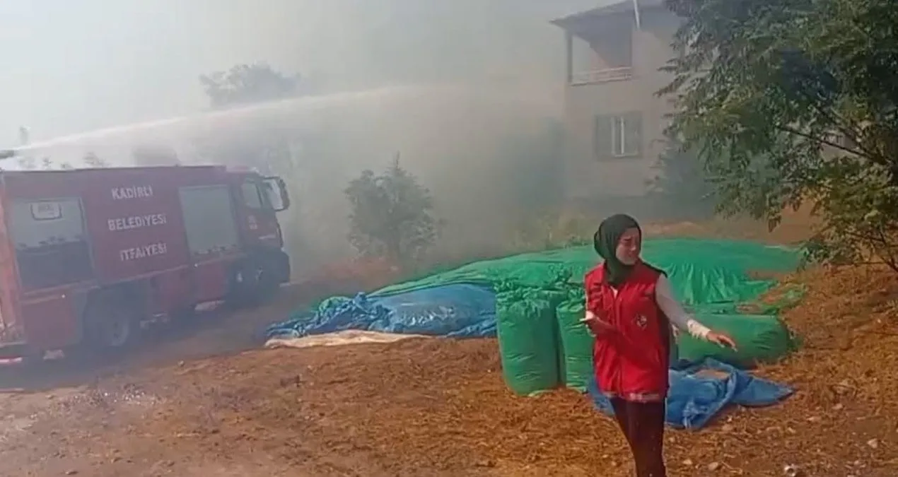 Sumbas’ta Anız Yangını Zeytinlikleri Tehdit Ediyor