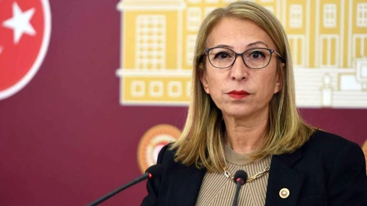 Süreyya Öneş Derici’den Çerçeve Yasaya Hayır!