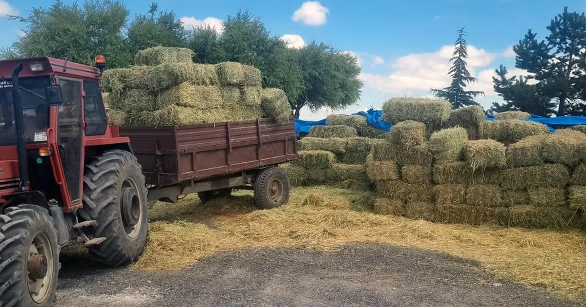 Talas Belediyesi’nden Çiftçilere Yem Desteği!