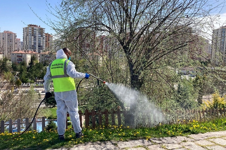 Talas’ta Yaz için Kesintisiz Haşere İlaçlaması!