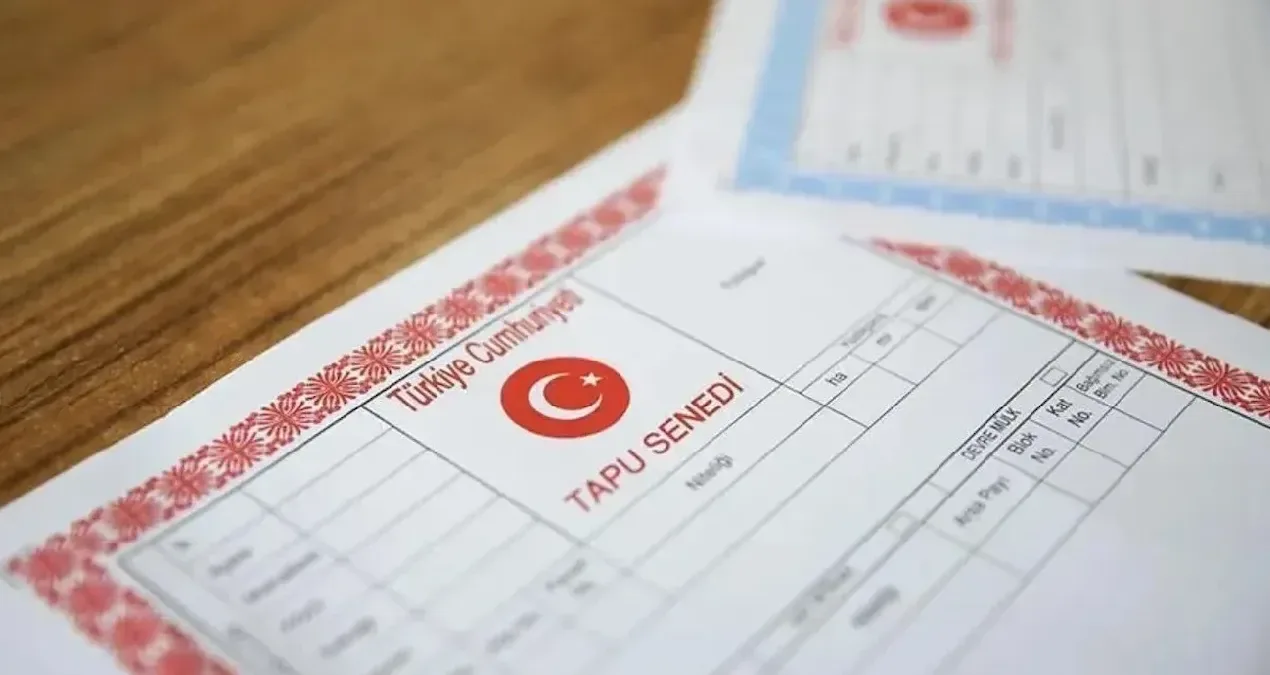 Tapu Renginin Önemi: Kırmızı mı, Mavi mi?