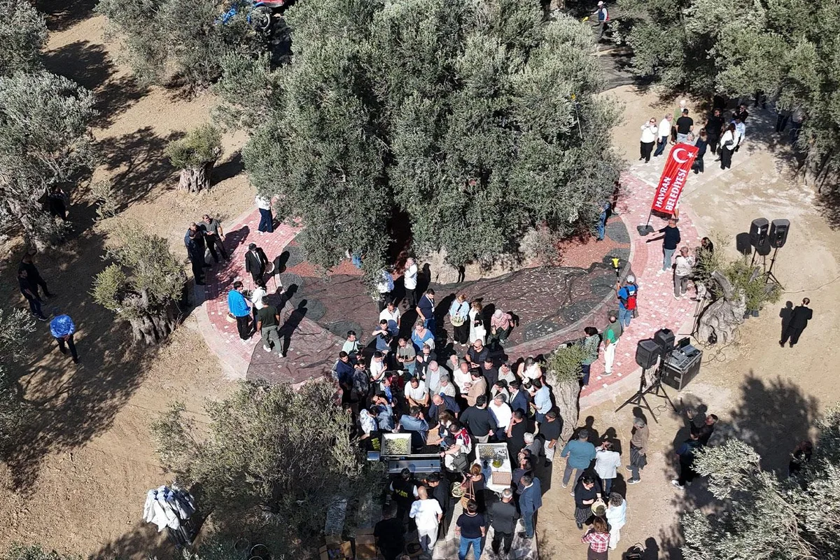 Tarih Kokulu Zeytinler Festivale Renk Kattı