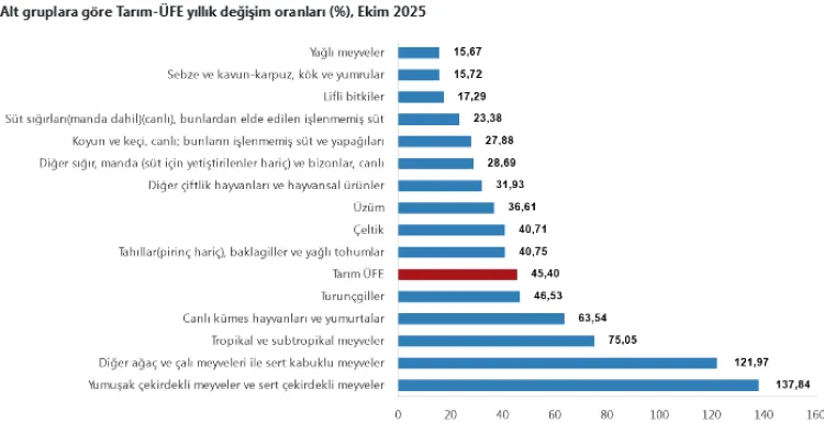 Tarım Ürünleri Fiyatları Ekim’de Yükseldi!