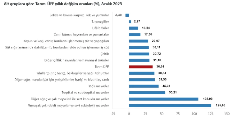 Tarım Ürünleri Fiyatları Yıl Sonunda Yükseldi!