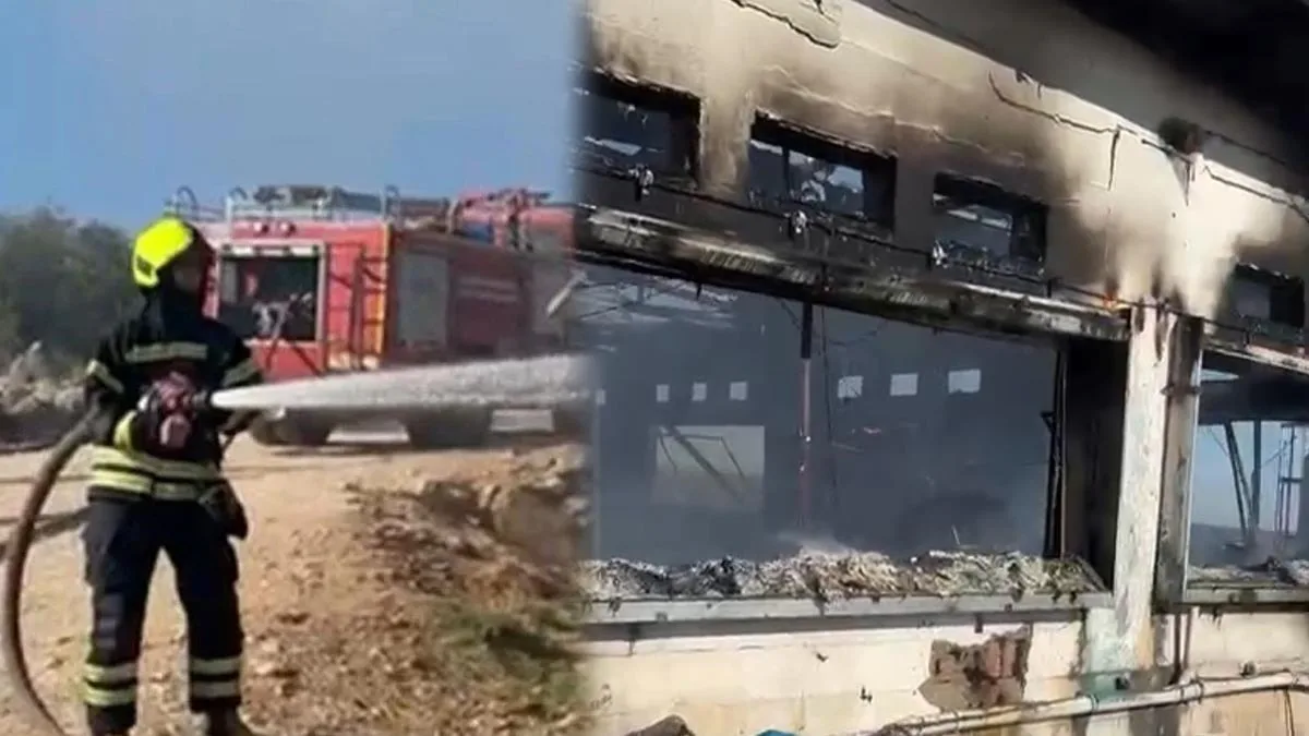 Tavuk Çiftliği Yangını