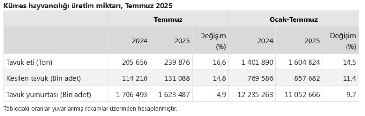 Tavuk Eti Üretimi Rekor Kırdı, Yumurtada Düşüş!