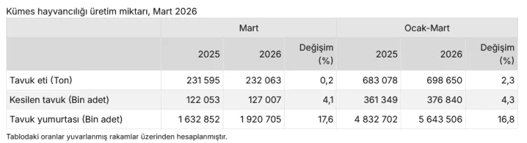 Tavuk Üretiminde Mart Ayı Rekoru: Yüzde 17,6 Artış
