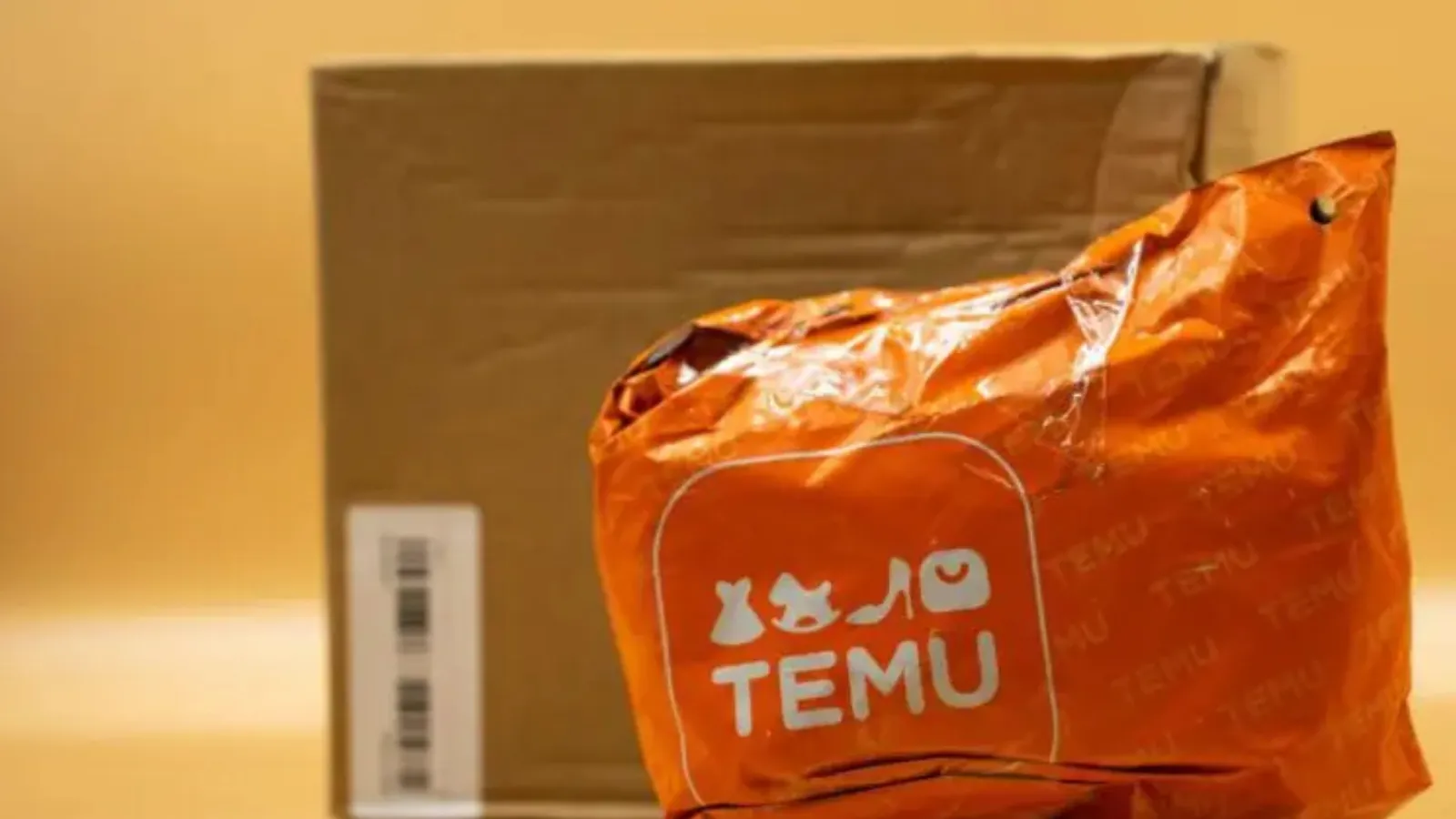 Temu’ya AB’den 200 Milyon Euro Ceza!