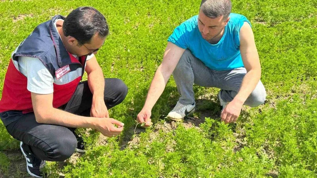 Tepecik Köyü’nde Tarım Kontrolleri Yapıldı