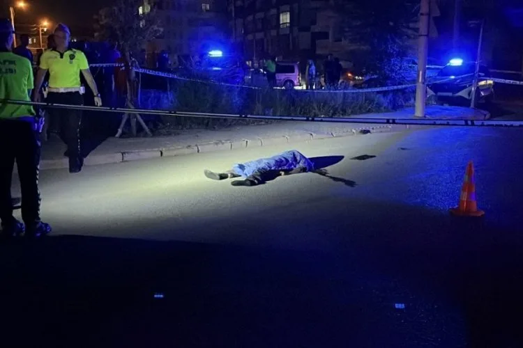 Ticari Araç Yayaya Çarptı: 65 Yaşındaki Adam Hayatını Kaybetti