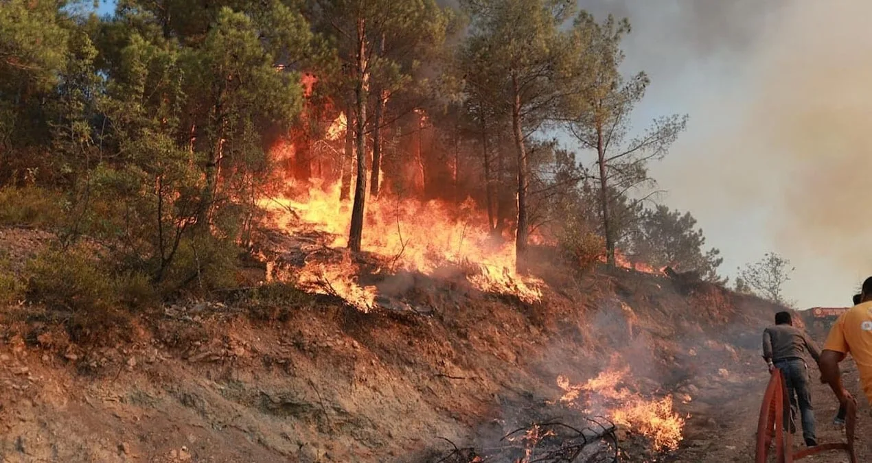 Tokat’ta Orman Yangını: Bin Hektar Etkilendi!