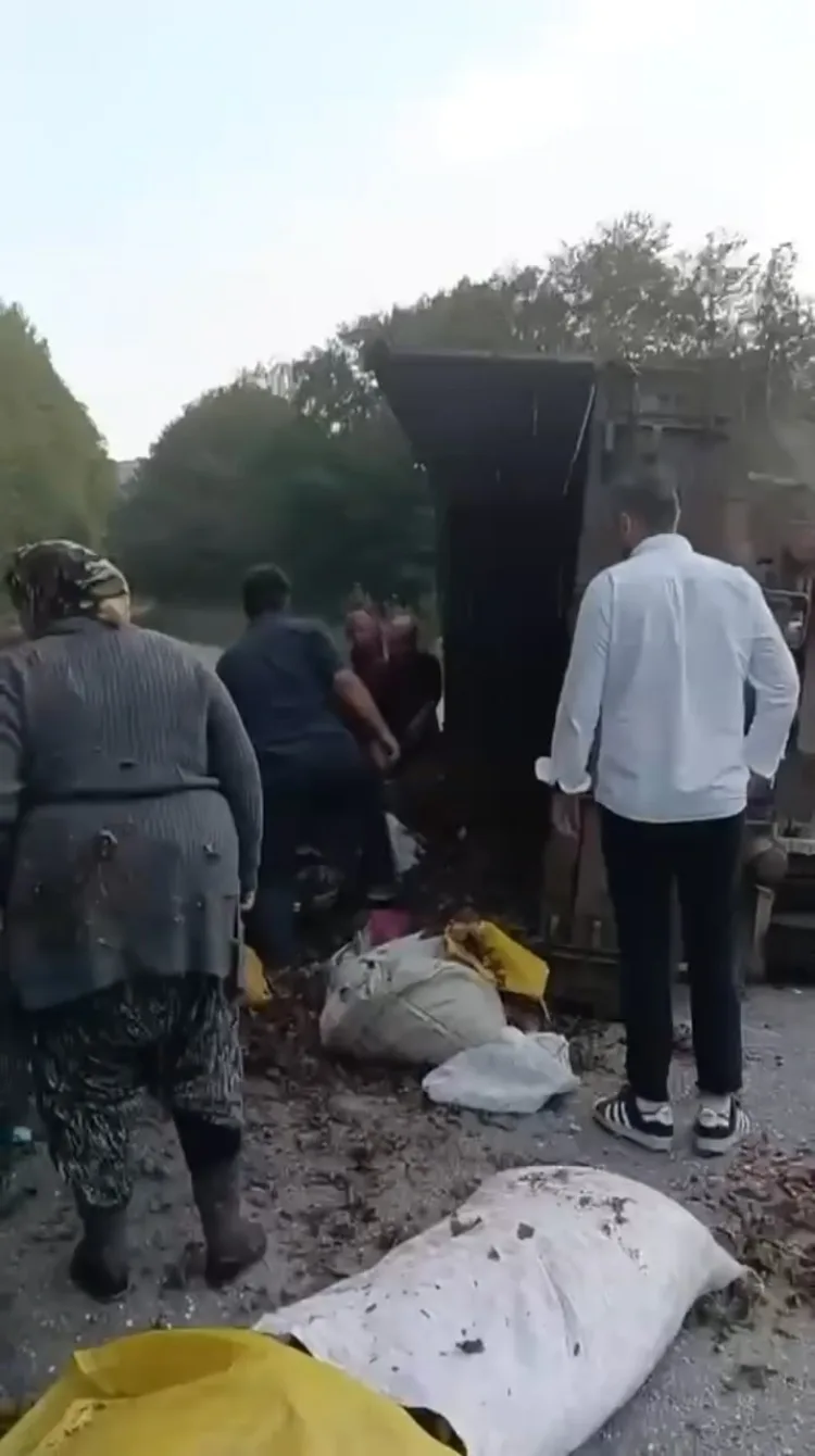 Traktör Devrildi: 11 Fındık İşçisi Yaralandı!