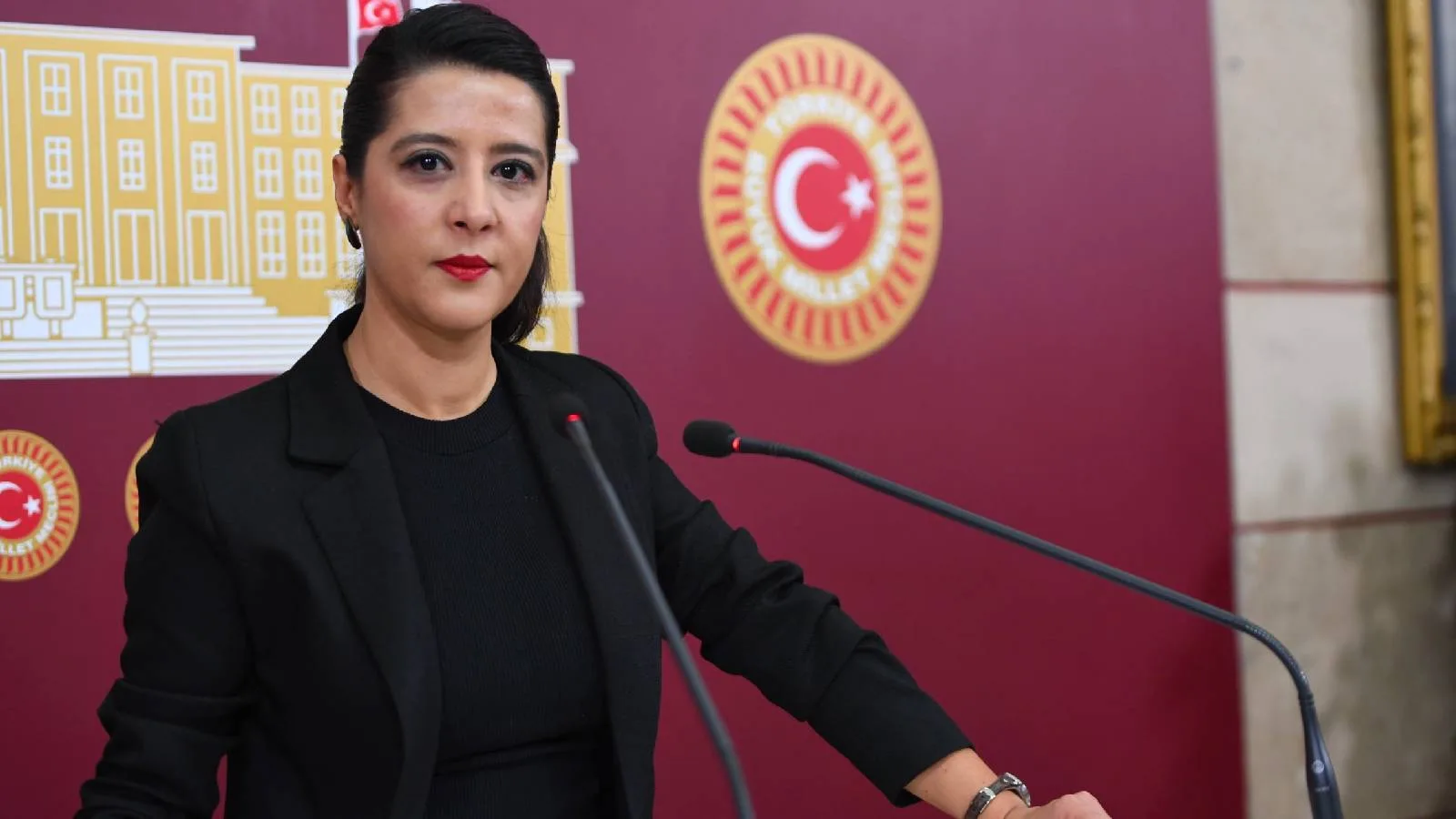 Trans Erkek Mağdurun Şiddeti, Bakan’a Soruldu!