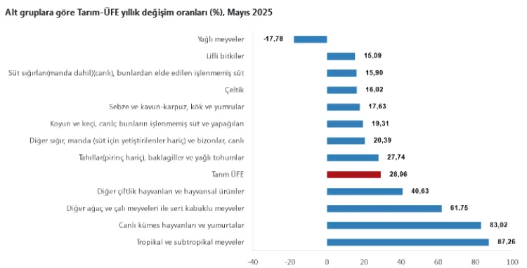 Tropikal Meyvelerde Rekor Artış, Sebzelerde Düşüş!