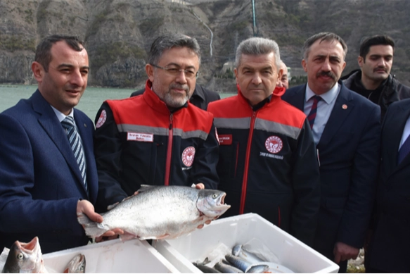 Türk Somonu İhracatı 500 Milyon Doları Geçti!