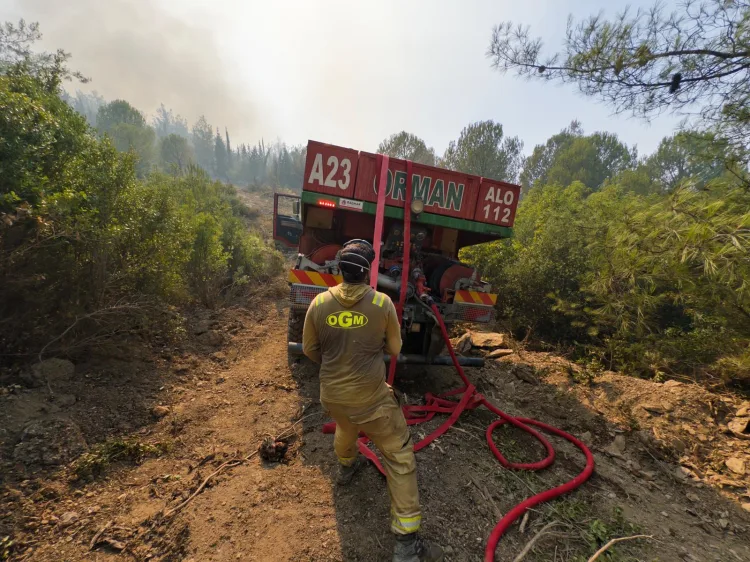 Türkiye’de 85 Yangın: İhmal ve Dikkatsizlik Etkili